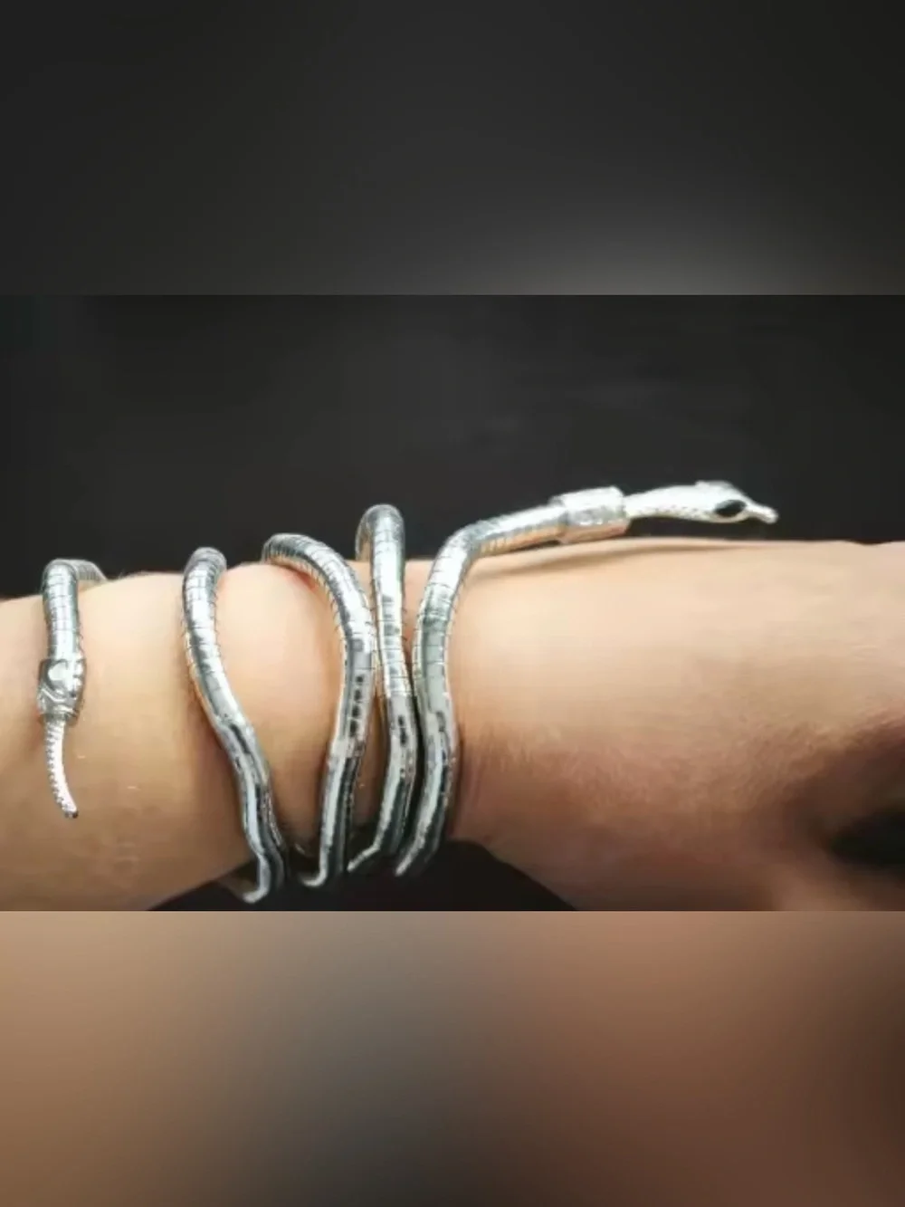 Silver Snake Coil Reptile Bracelet for Pets